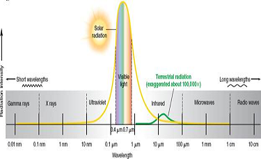 Which wavelengths do our eyes respond to, and why? (Refer to fig) About how long are short ultraviolet wavelengths compared to microwave lengths? FIGURE The electromagnetic spectrum. Our eyes are sensitive to visible-light wavelengths, which make up nearly half the energy that reaches the earth's surface (represented by the area under the solar radiation curve). Photosynthesizing plants use the most abundant solar wavelengths (light and infrared). The earth reemits lower-energy, longer wavelengths (shown by the terrestrial radiation curve), mainly the infrared part of the spectrum.