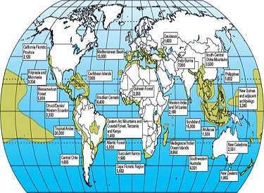 What is a biodiversity hot spot? List several of them (see fig). FIGURE Biodiversity hot spots identified by Conservation International tend to be in tropical or Mediterranean climates and on islands, coastlines, or mountains where many habitats exist and physical barriers encourage speciation. Numbers represent estimated endemic (locally unique) species in each area. SOURCE: Data from Conservation International.