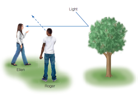 Ellen is looking at a tree. She sees the tree because light is reflected from the tree into her eyes, as shown in Figure. One way to describe this is to say that information about the tree is contained in the light. Meanwhile, Roger is off to the side, looking straight ahead. He doesn't see the tree because he is looking away from it. He is however, looking right at the space through which the light that is carrying information from the tree to Ellen is passing. But Roger doesn't see any of this information. Why does this occur? (Hint #1: Consider the idea that objects make light visible. Hint #2: Outer space contains a great deal of light, but it looks dark, except where there are objects.)Figure Ellen sees the tree because light is reflected from the tree into her eyes. Roger doesn't see the tree because he is not looking at it, but he is looking directly across the space where light from the tree is reflected into Ellen's eyes. Why isn't he aware of the information contained in this light?