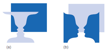 Vecera showed that regions in the lower part of a stimulus are more likely to be perceived as figure. How does this result relate to the idea that our visual system is tuned to regularities in the environment? Figure 1 (a) When the vase is perceived as figure, it is seen in front of a homogeneous dark background. (b) When the faces are seen as figure, they are seen in front of a homogeneous light background. Figure 2 (a) Stimuli from Vecerra et al. (2002). (b) Percentage of trials on which lower or left areas were seen as figure.