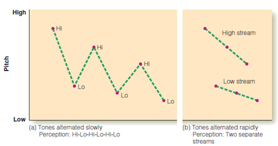 In the experiments on metrical structure, the stimulus was a steady, accent-free, series of beats, like the sound produced by a metronome. But in most music, specific beats are accented. Determine a number of ways that this accenting is achieved, by listening to a few different kinds of music. Figure 1 Figure 1 Four measures of a composition by J. S. Bach (Choral Prelude on Jesus Christus unser Heiland , 1739). When played rapidly, the upper notes become perceptually grouped and the lower notes become perceptually grouped, a phenomenon called auditory stream segregation. Figure 2 Figure 2 (a) When high and low tones are alternated slowly, auditory stream segregation does not occur, so the listener perceives alternating high and low tones. (b) Faster alternation results in segregation into high and low streams.