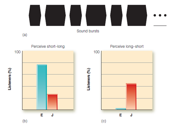 What are some situations in which (a) you use one sense in isolation, and (b) the combined use of two or more senses is necessary to accomplish a task? Figure (a) Subjects listened to sequences of short and long tones. On half the trials, the first tone was short; on the other half, long. The durations of the tones ranged from about 150 ms to 500 ms (durations varied for different experimental conditions), and the entire sequence repeated for 5 seconds. (b) English-speaking subjects (E) were more likely than Japanese-speaking subjects (J) to perceive the stimulus as short-long. (c) Japanese-speaking subjects were more likely than English-speaking subjects to perceive the stimulus as long-short.