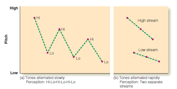 What are the basic principles of auditory grouping that help us achieve auditory scene analysis? Be sure you understand the following experiments: Bregman and Campbell (Figure 1); galloping crossing streams (Figure 2); scale illusion (Figure 3); auditory continuity (Figure 4); and melody schema (Figure 5). Figure 1 (a) When high and low tones are alternated slowly, auditory stream segregation does not occur, so the listener perceives alternating high and low tones. (b) Faster alternation results in segregation into high and low streams. Figure 2 (a) Two sequences of stimuli: a sequence of similar notes (red), and a scale (blue). (b) Perception of these stimuli: Separate streams are perceived when they are far apart in frequency, but the tones appear to jump back and forth between stimuli when the frequencies are in the same range. Figure 3 (a) These stimuli were presented to a listener's left ear (blue) and right ear (red) in Deutsch's (1975) scale illusion experiment. Notice how the notes presented to each ear jump up and down. (b) Although the notes in each ear jump up and down, the listener perceives a smooth sequence of notes. This effect is called the scale illusion, or melodic channeling. Figure 4 A demonstration of auditory continuity, using tones. Figure 5 Three Blind Mice. (a) Jumping octave version. (b) Normal version.