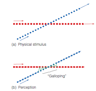 What are the basic principles of auditory grouping that help us achieve auditory scene analysis? Be sure you understand the following experiments: Bregman and Campbell (Figure 1); galloping crossing streams (Figure 2); scale illusion (Figure 3); auditory continuity (Figure 4); and melody schema (Figure 5). Figure 1 (a) When high and low tones are alternated slowly, auditory stream segregation does not occur, so the listener perceives alternating high and low tones. (b) Faster alternation results in segregation into high and low streams. Figure 2 (a) Two sequences of stimuli: a sequence of similar notes (red), and a scale (blue). (b) Perception of these stimuli: Separate streams are perceived when they are far apart in frequency, but the tones appear to jump back and forth between stimuli when the frequencies are in the same range. Figure 3 (a) These stimuli were presented to a listener's left ear (blue) and right ear (red) in Deutsch's (1975) scale illusion experiment. Notice how the notes presented to each ear jump up and down. (b) Although the notes in each ear jump up and down, the listener perceives a smooth sequence of notes. This effect is called the scale illusion, or melodic channeling. Figure 4 A demonstration of auditory continuity, using tones. Figure 5 Three Blind Mice. (a) Jumping octave version. (b) Normal version.