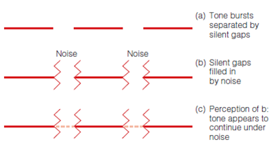 What are the basic principles of auditory grouping that help us achieve auditory scene analysis? Be sure you understand the following experiments: Bregman and Campbell (Figure 1); galloping crossing streams (Figure 2); scale illusion (Figure 3); auditory continuity (Figure 4); and melody schema (Figure 5). Figure 1 (a) When high and low tones are alternated slowly, auditory stream segregation does not occur, so the listener perceives alternating high and low tones. (b) Faster alternation results in segregation into high and low streams. Figure 2 (a) Two sequences of stimuli: a sequence of similar notes (red), and a scale (blue). (b) Perception of these stimuli: Separate streams are perceived when they are far apart in frequency, but the tones appear to jump back and forth between stimuli when the frequencies are in the same range. Figure 3 (a) These stimuli were presented to a listener's left ear (blue) and right ear (red) in Deutsch's (1975) scale illusion experiment. Notice how the notes presented to each ear jump up and down. (b) Although the notes in each ear jump up and down, the listener perceives a smooth sequence of notes. This effect is called the scale illusion, or melodic channeling. Figure 4 A demonstration of auditory continuity, using tones. Figure 5 Three Blind Mice. (a) Jumping octave version. (b) Normal version.