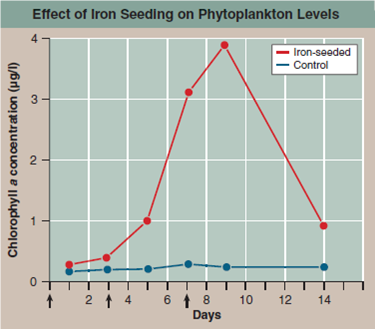 Does Iron Limit the Growth of Ocean Phytoplankton? Phytoplankton are microscopic organisms that live in the oceans, carrying out much of the earth's photosynthesis. The photo below is of Chaetoceros, a phytoplankton. Decades ago, scientists noticed dead zones in the ocean where little photosynthesis occurred. Looking more closely, they found that phytoplankton collected from these waters are not able to efficiently fix CO<sub>2</sub> into carbohydrates. In an attempt to understand why not, the scientists hypothesized that lack of iron (needed by the ETS) was the problem, and predicted that fertilizing these ocean waters with iron could trigger an explosively rapid growth of phytoplankton. To test this idea, they carried out a field experiment, seeding large areas of phytoplankton-poor ocean waters with iron crystals to see if this triggered phytoplankton growth. Other similarly phytoplanktonpoor areas of ocean were not seeded with iron and served as controls. In one such experiment, the results of which are presented in the graph to the right, a 72-km <sup>2</sup> grid of phytoplankton-deficient ocean water was seeded with iron crystals and a tracer substance in three successive treatments, indicated with arrows on the x axis of the graph (on days 0, 3, and 7). The multiple seedings were carried out to reduce the effect of the iron crystals dissipating over time. A smaller control grid, 24 km <sup>2</sup> , was seeded with just the tracer substance. To assess the numbers of phytoplankton organisms carrying out photosynthesis in the ocean water, investigators did not actually count organisms. Instead, they estimated the amount of chlorophyll a in water samples as an easier-to-measure index. An index is a parameter that accurately reflects the quantity of another less-easily-measured parameter. In this instance, the level of chlorophyll a , easily measured by monitoring the wavelengths of light absorbed by a liquid sample, is a suitable index of phytoplankton, as this pigment is found nowhere else in the ocean other than within phytoplankton. Chlorophyll a measurements were made periodically on both test and control grids for 14 days. The results are plotted on the graph. Red points indicate chlorophyll a concentrations in iron-seeded waters; blue points indicate chlorophyll a levels in the control grid waters that were not seeded. Interpreting Data a. What happened to the levels of chlorophyll a in the test areas of the ocean (red dots)? b. What happened to the levels of chlorophyll a in the control areas (blue dots)? c. Comparing the red line to the blue line, about how many times more numerous are phytoplankton in iron-seeded waters on the three days of seeding?