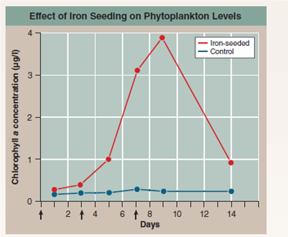 Does Iron Limit the Growth of Ocean Phytoplankton? Phytoplankton are microscopic organisms that live in the oceans, carrying out much of the earth's photosynthesis. The photo below is of Chaetoceros, a phytoplankton. Decades ago, scientists noticed dead zones in the ocean where little photosynthesis occurred. Looking more closely, they found that Phytoplankton collected from these waters are not able to efficiently fix CO<sub>2</sub> into carbohydrates. In an attempt to understand why not, the scientists hypothesized that lack of iron (needed by the ETS) was the problem and predicted that fertilizing these ocean waters with iron could trigger an explosively rapid growth of phytoplankton. To test this idea, they carried out a field experiment, seeding large areas of phytoplankton-poor ocean waters with iron crystals to see if this triggered phytoplankton growth. Other similarly phytoplankton-poor areas of ocean were not seeded with iron and served as controls. In one such experiment, the results of which are presented in the graph to the right, a 72-km <sup>2</sup> grid of phytoplankton-deficient ocean water was seeded with iron crystals and a tracer substance in three successive treatments, indicated with arrows on the x axis of the graph (on days 0, 3, and 7). The multiple seedings were carried out to reduce the effect of the iron crystals dissipating over time. A smaller control grid, 24 km <sup>2</sup> , was seeded with just the tracer substance. To assess the numbers of phytoplankton organisms carrying out photosynthesis in the ocean water, investigators did not actually count organisms. Instead, they estimated the amount of chlorophyll a in water samples as an easier-to-measure index. An index is a parameter that accurately reflects the quantity of another less-easily-measured parameter. In this instance, the level of chlorophyll a , easily measured by monitoring the wavelengths of light absorbed by a liquid sample, is a suitable index of phytoplankton, as this pigment is found nowhere else in the ocean other than within phytoplankton. Chlorophyll a measurements were made periodically on both test and control grids for 14 days. The results are plotted on the graph. Red points indicate chlorophyll a concentrations in iron-seeded waters; blue points indicate chlorophyll a levels in the control grid waters that were not seeded. Drawing Conclusions Do these results support the claim that lack of iron is limiting the growth of phytoplankton, and thus of photosynthesis, in certain areas of the oceans?