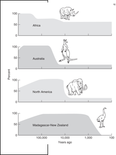 <strong>The figure at the right depicts:  </strong> A) Evolutionary stability B) Punctuated equilibrium C) Speciation D) Pleistocene overkill E) Episodic mass extinctions <div style=padding-top: 35px> 