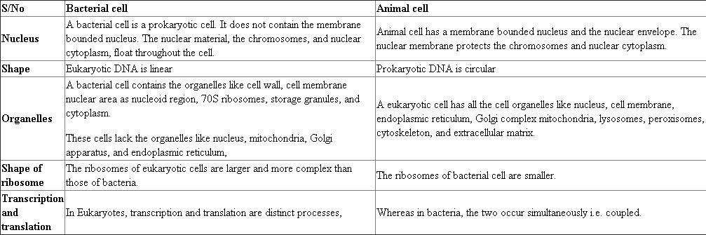 The nutritional requirements of Escherichia coli cell are simpler than humans, where they can synthesize all the macromolecules like humans. Moreover, each individual bacterial cell is able to synthesize all of the complex macromolecules. This is because each bacterial cell contains all the enzymes necessary to make the macromolecules to break down all nutritional metabolites. In addition, prokaryotes are having larger surface to volume in ratio to give a higher metabolic rate, a higher growth rate, and a shorter generation time compared to eukaryotes. No, the bacterial cell does not perform more biosynthetic capacity and metabolic complexity than animals. This is because animal cells are multicellular with complexed cell organelles that perform all the cellular functions. Whereas, bacteria are usually single-celled organisms, with less specialized organelles compared to animal cells. Thus, animal cell provides more complex nutritional requirements than bacterial cell. Pros and cons of bacterial and animal cell: The pros and cons of both bacterial and animal cell, in the table provide the explanation, how the animal cells vary in organelles responsible, for metabolic complexity. Thus, the bacterial cell does not perform more biosynthetic capacity and metabolic complexity than animals.