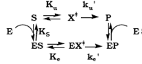 Deriving an expression for enzymatic rate acceleration Based on the reaction scheme shown below, derive an expression for k e /k u , the ratio of the rate constants for the catalyzed and uncatalyzed reactions, respectively, in terms of the free energies of activation for the catalyzed ( G ‡ e ) and the uncatalyzed ( G ‡ u ) reactions.