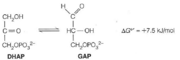 In another key reaction in glycolysis, dihydroxyacetone phosphate (DHAP) is isomerized into glyceraldehyde-3-phosphate (GAP): Because G° is positive, the equilibrium lies to the left. (a) Calculate the equilibrium constant, and the equilibrium fraction of GAP from the above, at 37 °C. (b) In the cell, depletion of GAP makes the reaction proceed. What will AG be if the concentration of GAP is always kept at 1/100 of the concentration of DHAP