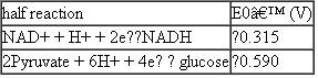 For parts (a) and (b) of this problem use the following standard reduction potentials, free energies, and nonequilibrium concentrations of reactants and products: pyruvate + NADH + 2H + ethanol + NAD + + CO<sub>2</sub> AG° = 64.4kJ/mol ATP + H<sub>2</sub> O ADP + P i + H+ G ° = 30.5kJ/mol (a) Consider the last two steps in the alcoholic fermentation of glucose by brewer's yeast: Calculate the nonequilibrium concentration of ethanol in yeast cells, if G = 38.3 kJ/mol for this reaction at pH = 7.4 and 37 °C when the reactants and products are at the concentrations given above. (b) Consider the degradation of glucose to pyruvate by the glycolytic pathway: Calculate G for this reaction at pH = 7.4 and 37 °C.