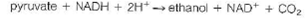 For parts (a) and (b) of this problem use the following standard reduction potentials, free energies, and nonequilibrium concentrations of reactants and products: pyruvate + NADH + 2H + ethanol + NAD + + CO<sub>2</sub> AG° = 64.4kJ/mol ATP + H<sub>2</sub> O ADP + P i + H+ G ° = 30.5kJ/mol (a) Consider the last two steps in the alcoholic fermentation of glucose by brewer's yeast: Calculate the nonequilibrium concentration of ethanol in yeast cells, if G = 38.3 kJ/mol for this reaction at pH = 7.4 and 37 °C when the reactants and products are at the concentrations given above. (b) Consider the degradation of glucose to pyruvate by the glycolytic pathway: Calculate G for this reaction at pH = 7.4 and 37 °C.