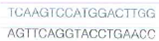 Some natirally occurring polynucleotide sequences are palindromic; that is, they are self-complementary about an axis of symmetry. Such a sequence is Show how this structure might form a double hairpin, or cruciform, conformation. Indicate the center of symmetry in the sequence and the bounds of the cruciform.