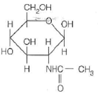 One or more of the compounds shown below will satisfy each of the following statements. Not all compounds may be used; some may be used twice. Put the letter(s) in the blank. (a) Found in chitin.______ (b) An L-saccharide.______ (c) The first residue attached to asparagine in N-linked glycans.______ (d) A uronic acid.______ (e) A ketose.______ (a) (b) (c) (d) (e) (f)