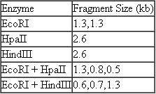 A small DNA molecule was cleaved with several different restriction nucleases, and the size of each fragment was determined by gel electrophoresis. The following data were obtained. (a) Is the original molecule linear or circular (b) Draw a map of restriction sites, showing distances between sites, that is consistent with the data presented. (c) How many additional maps are compatible with the data (d) What would have to be done to locate the cleavage sites unambiguously with respect to each other