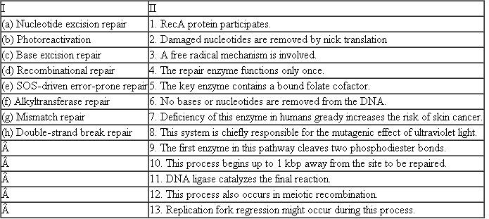 For each DNA repair process in column I, list all characteristics from column II that correctly describe that process.