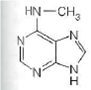 A B C D For each of the following characteristics, list all of the bases (A, B, C, or D) to which they apply. (a) A signal that identifies a parental DNA strand in the MutH,L,S mismatch correction system (b) Most likely to be involved in cyclobutane dimer formation after ultraviolet irradiation of DNA (c) A methylated base found immediately to the 5 side of dGMP residues in eukaryotic DNA (d) Created by treating DNA with alkylating agents that transfer methyl groups and repaired by an enzyme that functions only once in its lifetime (e) Created by AdoMet-dependent methylation of a nucleotide residue in DNA (f) A substrate for deamination at the DNA level, which would lead to a GC AT transition