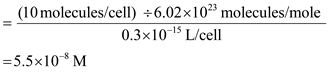 (a)The approximate concentration of intracellular repressor would be as follows: (b)The approximate concentration of intracellular operators would be as follows: (c)The approximate intracellular concentration of the free operators would be approximately . (d)A rapidly growing cell possess two copies as the cell during division divides the two sister chromatids of the chromosome. These sister chromatids replicate and form two complete set of chromosomes again.