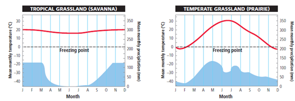 In this chapter, you learned how long-term variations in average temperatures and average precipitation play a major role in determining the types of deserts, forests, and grasslands found in different parts of the world. Below are typical annual climate graphs for a tropical grassland (savanna) in Africa and a temperate grassland in the Midwestern United States. What is the warmest month in the temperate grassland?
