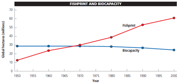 A fishprint provides a measure of a country's fish harvest in terms of area. The unit of area used in fishprint analysis is the global hectare (gha), a unit weighted to reflect the relative ecological productivity of the area fished. When compared with the fishing area's sustainable biocapacity (its ability to provide a stable supply of fish year after year, expressed in terms of yield per area), its fishprint indicates whether the country's annual fishing harvest is sustainable. The fishprint and biocapacity are calculated using the following formulas: Fishprint in (gha) = metric tons of fish harvested per year/productivity in metric tons per hectare × weighting factor Biocapacity in (gha) = sustained yield of fish in metric tons per year/productivity in metric tons per hectare × weighting factor The following graph shows the earth's total fishprint and biocapacity between 1950 and 2000. Study it and answer the following questions. Based on the graph, a. In what year did the global fishprint begin to exceed the biological capacity of the world's oceans? b. By how much did the global fishprint exceed the biological capacity of the world's oceans in 2000?
