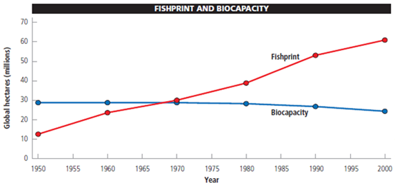 A fishprint provides a measure of a country's fish harvest in terms of area. The unit of area used in fishprint analysis is the global hectare (gha), a unit weighted to reflect the relative ecological productivity of the area fished. When compared with the fishing area's sustainable biocapacity (its ability to provide a stable supply of fish year after year, expressed in terms of yield per area), its fishprint indicates whether the country's annual fishing harvest is sustainable. The fishprint and biocapacity are calculated using the following formulas: Fishprint in (gha) = metric tons of fish harvested per year/productivity in metric tons per hectare × weighting factor Biocapacity in (gha) = sustained yield of fish in metric tons per year/productivity in metric tons per hectare × weighting factor The following graph shows the earth's total fishprint and biocapacity between 1950 and 2000. Study it and answer the following questions. Assume a country harvests 18 million metric tons of fish annually from an ocean area with an average productivity of 1.3 metric tons per hectare and a weighting factor of 2.68. What is the annual fishprint of that country?
