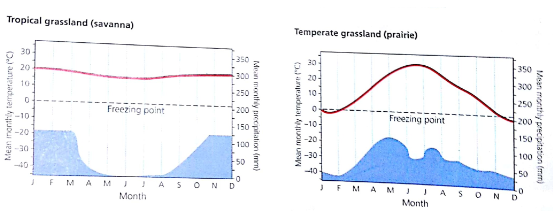In this chapter, you learned how long-term variations in average temperatures and average precipitation play a major role in determining the types of deserts, forests, and grasslands found in different parts of the world. Below are typical annual climate graphs for a tropical grassland (savanna) in Africa and a temperature grassland in the mid-western United States. What is the coldest month in the tropical grassland