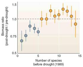 Uncertainty is a key idea in science. We can rarely have absolute proof in experimental results, because our conclusions rest on observations, but we only have a small sample of all possible observations. Because uncertainty is always present, it's useful to describe how much uncertainty you have, relative to what you know. It might seem ironic, but in science, knowing about uncertainty increases our confidence in our conclusions. The graph at right is from a landmark field study by D. Tilman, et al. It shows change in biomass within, experimental plots containing varying numbers of native prairie plants after a severe drought. Because more than 200 replicate (repeated test) plots were used, this study was able to give an estimate of uncertainty. This uncertainty is shown with error bars. In this graph, dots show means for groups of test plots; the error bars show the range in which that mean could have fallen, if there had been a slightly different set of test plots. Let's examine the error bars in this graph. To begin, as always, make sure you understand what the axes show. This graph is a relatively complex one, so be patient. Each dot shows the average species count for a set of test plots with a given number of species. About how many species are in the plots represented by the leftmost dot By the rightmost dot