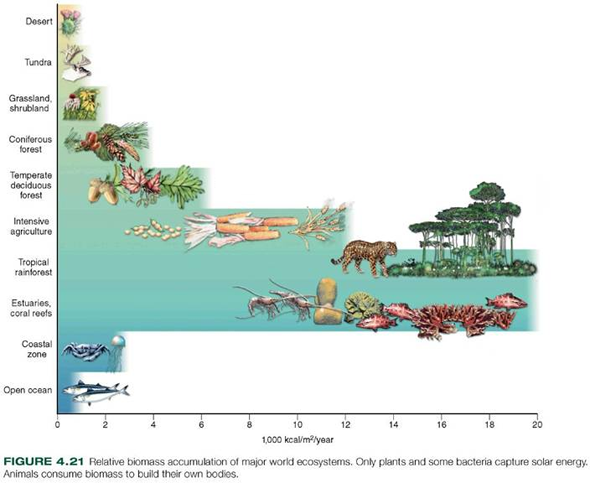 Which world ecosystems are most productive in terms of biomass (fig. 4.21) Which are least productive What units are used in this figure to quantify biomass accumulation