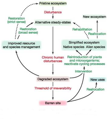 Figure 13.32 on p. 291 is a form of graphic representation we haven t used very often in this book. It's a concept map, or a twodimensional representation of the relationship between key ideas. It could also be considered a decision flowchart because it's an organized presentation of different policy options. This kind of chart shows how we might think about a situation, and suggests affinities and associations that might not otherwise be obvious. You might like to look at the introductory chapter of this book for more information about concept maps. A model of ecosystem degradation and potential management options. Source: Data from Walker and Moral, 2003. What do you suppose the authors meant by a threshold of irreversibility If the system is irreversible, why are there arrows for reallocation or intervention