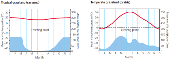 In this chapter, you learned how long-term variations in average temperatures and average precipitation play a major role in determining the types of deserts, forests, and grasslands found in different parts of the world. Below are typical annual climate graphs for a tropical grassland (savanna) in Africa and a temperate grassland in the Midwestern United States. In what month (or months) does the most precipitation fall in each of these areas