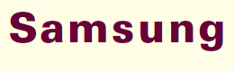Does the manager of a Samsung distribution center participate in long-term budgeting Explain.