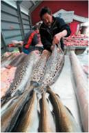 Benni's Fish Co. had gross sales of $756,300 with returns of $285. The inventory on January 1 was $92,370, and the cost of goods purchased during the year was $465,920. Freight costs during the year were $1205. Total inventory on December 31 was $82,350. Salaries and wages totaled $84,900, advertising was $2800, rent was $42,500, utilities were $18,950, taxes on inventory and payroll were $4500, and miscellaneous expenses totaled $18,400. Income taxes were $25,450. Complete the following income statement.