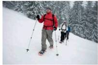 Find the missing numbers. Round rates to the nearest tenth of a percent and dollar amounts to the nearest cent. (See Examples.)     Using the Basic Markup Formula      REI received three different types of snowshoes in one shipment. Use the basic markup formula to find the unknown for each of the following. (a)      (b)      (c)      SOLUTION  CASE IN POINT (a)      (b)      (c)      Solving for Percent of Markup on Cost      The manager of a discount store bought hiking boots manufactured in Mexico for $60 and plans to sell them for $81 a pair. Find the percent of markup based on cost. SOLUTION  Set up the problem using the table form given earlier. Since this problem is related to markup based on cost, cost is the base, or 100%. All other percents must be in terms of cost.     Find the unknown values as follows.     The following table shows that the markup based on cost is 35% and that the selling price is 135% of cost.     The calculator solution to the first part of this example is as follows.     Note: Refer to Appendix B for calculator basics. Finding Cost When Cost Is Base      Olympic Sports places a markup on a 50-lb iron barbell set of $16, which is 50, based on cost. Find the cost and the selling price. Quick TIP  It is important to first find the base (the cost in this problem) and then find the other values in the table. SOLUTION  Set up the table using the fact that the markup of 50, based on cost is $16. Cost is the base, or 100%. Cost is not known.     Find the cost using the fact that markup of $16 is 50% of cost.     Divide both sides of the equation by.5 to find     Complete the table by adding the percent and dollar columns to find the totals.     The weight set costs the retailer $32 and is marked up by $16. The selling price of $48 is 150% of the cost of $32. Finding the Markup and the Selling Price      Find the markup and the selling price for an Adidas hooded sweatshirt if the cost is $23.60 and the markup is 45% of cost. SOLUTION  Use the information given to set up the problem.     The percent column totals to 145%. Use the basic percent equation to find the following.     The selling price can be found either by adding the cost of $23.60 to the markup of $10.62, or as follows:     The table shows that the selling price of the hooded sweatshirt is $34.22.     This calculator solution uses the percent add-on feature found on many calculators.     Finding Cost When Cost Is Base  REI sells a lightweight down sleeping bag rated for very cold weather for $308. If the markup on cost is 40%, find the amount that REI pays for one sleeping bag. Then find the markup.     SOLUTION  CASE IN POINT The cost is 100% and the markup is 40%, so the selling price is 140% of cost.     : is important to notice that the base is not known in this example. So, use the basic percent quation to find the base or think through it as follows:     So, the sleeping bag cost $220. Finally, markup = selling price ? cost.     All values are given in the table.     Check the answer by making sure that both column totals are correct. Finding the Cost and the Markup  The retail price of a 50-inch portable basketball system is $549.99. The retailer has operating expenses of 29.5% and wants a 5.5% profit, both based on cost, on this item. First find the total percent of markup on cost; then find cost and markup. Quick TIP  Remember, when calculating markup on cost, cost is always the base and 100% always goes next to cost. SOLUTION  Add operating expense and profit percents to find the percent markup on cost required by the retailer.     Now set the problem up in the table form.     The final table is shown.     The cost is $407.40 and the markup is $142.59.