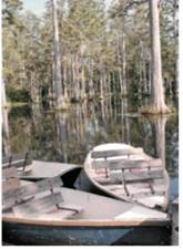 Solve the application problem. Round to the nearest cent. ALLIGATOR HUNTING Cajun Jack needs $45,000 in 4 years for boats used to hunt alligators. (a) Find the amount of each payment if payments are made at the end of each quarter with interest at 6% compounded quarterly. ____________ (b) Find the total amount of interest earned. ____________