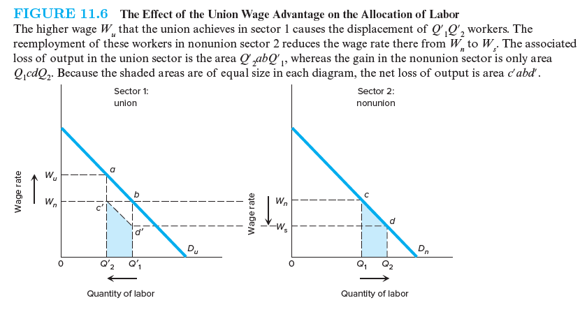 Evidence suggests that firms that sell their products in less competitive product markets are more likely to be unionized than firms selling in highly competitive markets. Recalling from Chapter 5 that the elasticity of product demand is an important determinant of the elasticity of labor demand, how might this affect (a) the elasticities of the union and nonunion demand curves in Figure 11.6 and (b) the net loss of output due to the union wage advantage