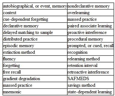 Define the following terms: