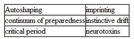 Define the following terms: