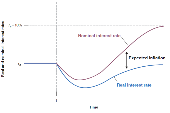 When looking at the short run in Section 14-2, we showed how an increase in nominal money growth led to higher output, a lower nominal interest rate, and a lower real interest rate. The analysis in the text (as summarized in Figure 14-5) assumed that expected inflation, , did not change in the short run. Let us now relax this assumption and assume that in the short run, both money growth and expected inflation increase. a. Show how this effects the IS curve. Explain in words. b. Show how this effects the LM curve. Explain in words. c. How does this affect output and the nominal interest rate Could the nominal interest rate end up higher-not lower-than before the change in money growth Why d. Even if what happens to the nominal interest rate is ambiguous, can you tell what happens to the real interest rate (Hint: What happens to output relative to Figure 14-4 What does this imply about what happens to the real interest rate ) Figure 14-5 Figure 14-4