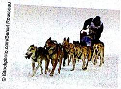 Sports: Dog Sled Racing How long does it take to finish the 1161-mile Iditarod Dog Sled Race from Anchorage to Nome, Alaska (see Viewpoint) Finish times (to the nearest hour) for 57 dogsled teams are shown below. Use five classes.