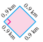 Find the perimeter and area of the rectangle or square.