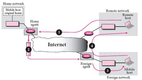 Redraw Figure 10.7 if the mobile host acts as a foreign agent. Figure 10.7 Data transfer