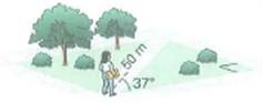 A student strolls diagonally across a level rectangular campus plaza, covering the 50-m distance in 1.0 min (Fig.). (a) If the diagonal route makes a 37° angle with the long side of the plaza, what would be the distance travelled if the student had walked halfway around the outside of the plaza instead of along the diagonal route (b) If the student had walked the outside route in 1.0 min at a constant speed, how much time would she have spent on each side FIGURE Which way See Exercise.