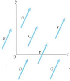 Are any of the vectors in Fig. equal FIGURE Different vectors See Conceptual Question.