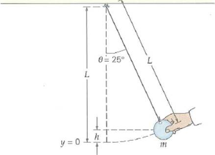 A simple pendulum has a length of 0.75 m and a bob with a mass of 0.15 kg. The bob is released from an angle of 25° relative to a vertical reference line (Fig.). (a) Show that the vertical height of the bob when it is released is h = L (1 - cos 25°). (b) What is the kinetic energy of the bob when the string is at an angle of 9.0° (c) What is the speed of the bob at the bottom of the swing (Neglect friction and the mass of the string.) FIGURE A pendulum swings See Exercise.
