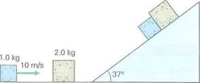 A 1.0-kg object moving at 10 m/s collides with a stationary 2.0-kg object as shown in Fig. If the collision is perfectly inelastic, how far along the inclined plane will the combined system travel (Neglect friction.) FIGURE How far is up See Exercise.