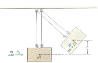 Show that the fraction of kinetic energy lost in a ballistic-pendulum collision (as in Fig.) is equal to M /( m + M ). FIGURE A ballistic pendulum See Exercise.