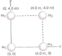 Locate the center of mass of the system shown in Fig. (a) if all of the masses are equal; (b) if m 2 = m 4 = 2 m 1 = 2 m 3 ; (c) if m 1 = 1.0 kg, m 2 = 2.0 kg, m 3 = 3.0 kg, and m 4 = 4.0 kg. FIGURE Where's the center of mass See Exercise.