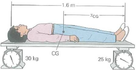 The location of a person's center of gravity relative to his or her height can be found by using the arrangement shown in Fig. The scales are initially adjusted to zero with the board alone. (a) Would you expect the location of the center of gravity to be (1) midway between the scales, (2) toward the scale at the person's head, or (3) toward the scale at the person's feet      FIGURE Locating the center of gravity See Exercise. Why (b) Locate the center of gravity of the person relative to the horizontal dimension.