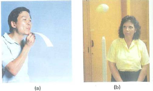 Here are two common demonstrations of Bernoulli effects: (a) If you hold a narrow strip of paper in front of your mouth and blow over the top surface, the strip will rise (Fig. a). (Try it.) Why (b) Aplastic egg is supported vertically by a stream of air from a tube (Fig. b). The egg will not move away from the midstream position. Why not FIGURE Bernoulli effects See Conceptual Question.
